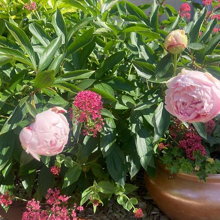 Varennes-les-Narcy Logis Cote Jardinヴィラ エクステリア 写真