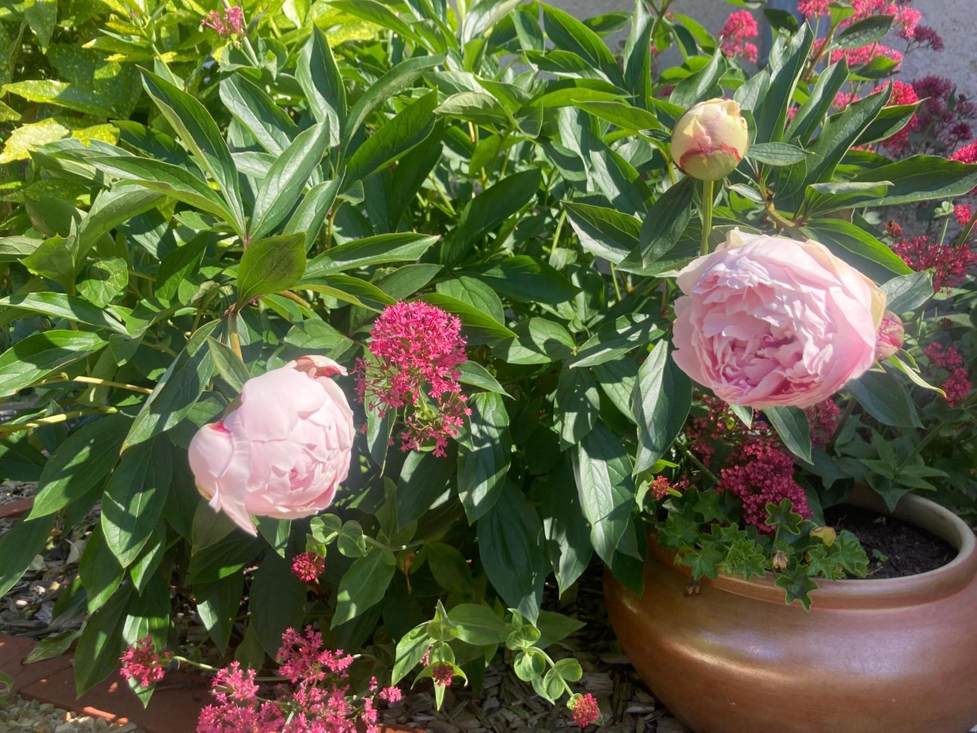 Varennes-les-Narcy Logis Cote Jardinヴィラ エクステリア 写真